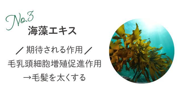 海藻エキス